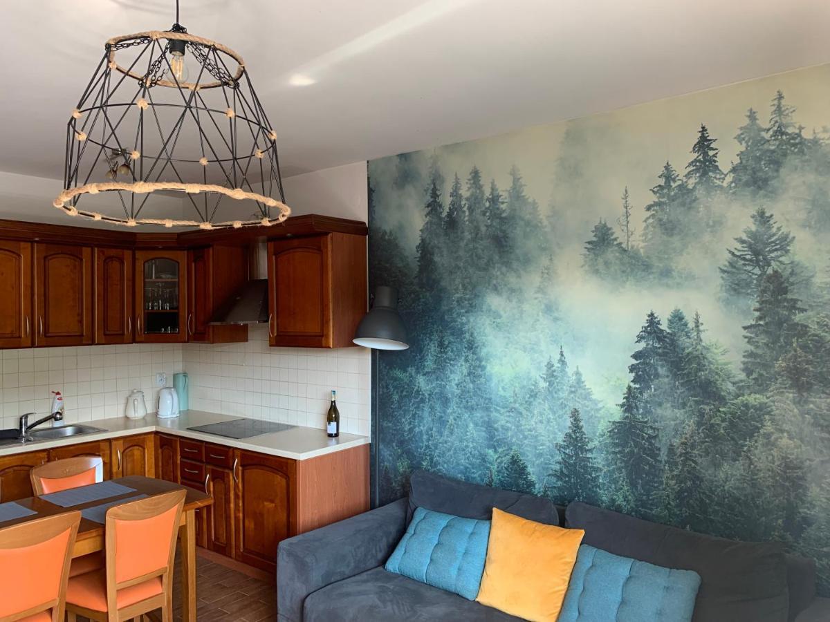 Apartament Na Wzgorzu Wisła Εξωτερικό φωτογραφία